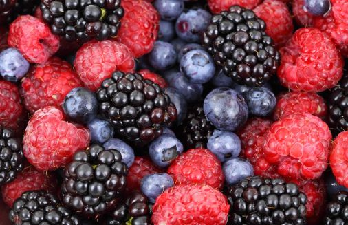 berries and dry fruits